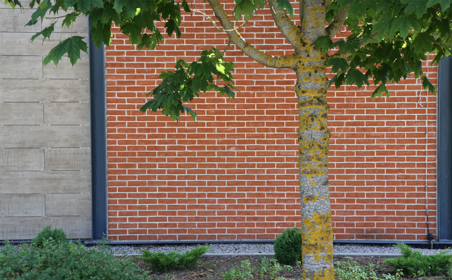 Печной кирпич ригельный Lode Sencis естественный, 324*162*81 мм