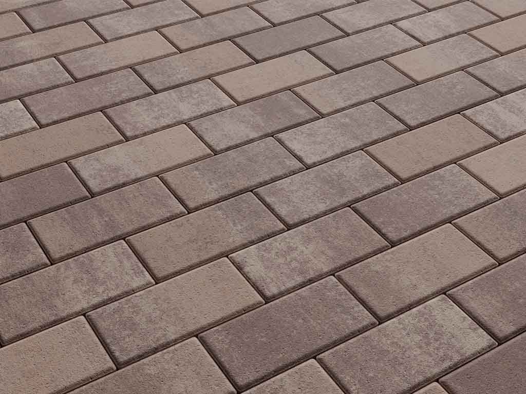 Плитка тротуарная Прямоугольник А.2.П.4 листопад гладкий хаски, 200*100*40 мм