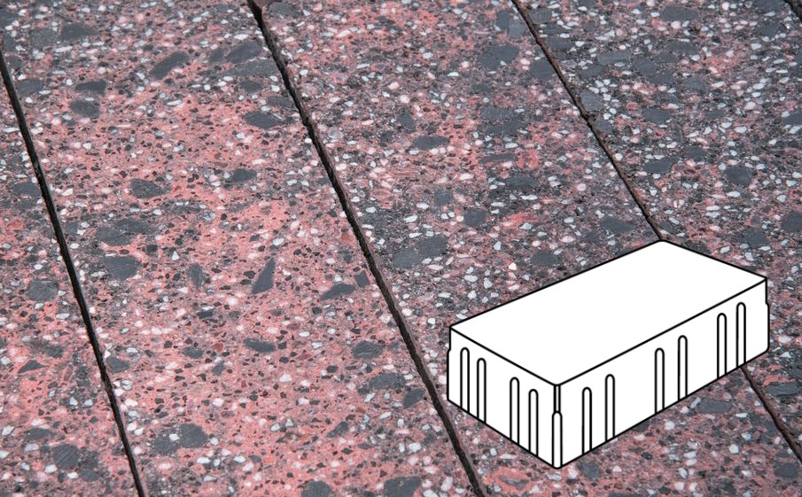 Плитка тротуарная Готика, Granite FINO, Скада без фаски В3.П.10, Дымовский, 225*150*100 мм