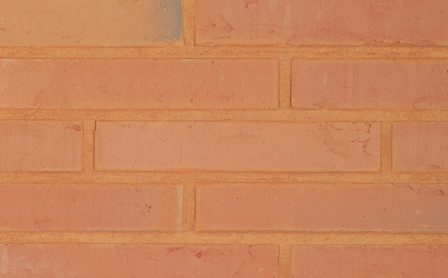 Кирпич облицовочный Terca Linnaeus Betula, 288*88*48 мм