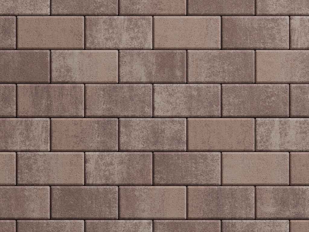 Плитка тротуарная Прямоугольник Б.2.П.6 листопад гладкий хаски, 200*100*60 мм