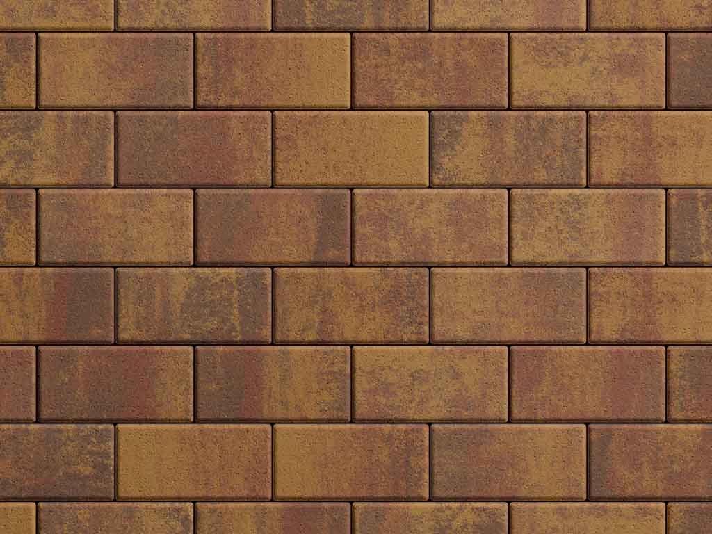 Плитка тротуарная Прямоугольник Б.2.П.6 листопад гладкий осень, 200*100*60 мм