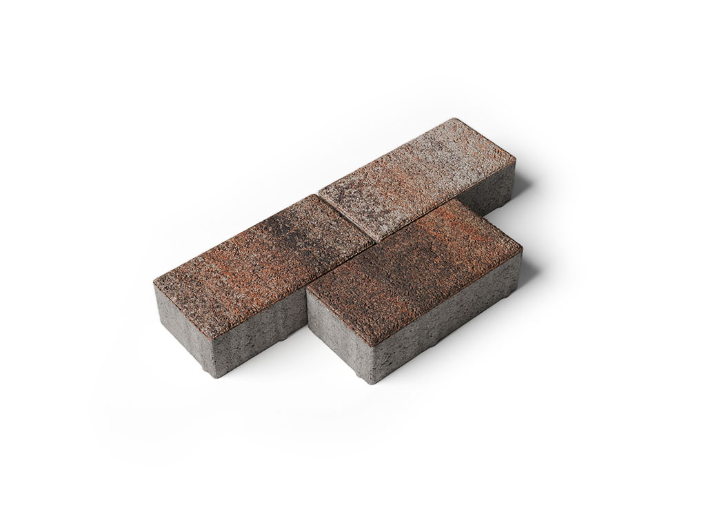 Плитка тротуарная Прямоугольник А.2.П.4 листопад гранит клен, 200*100*40 мм