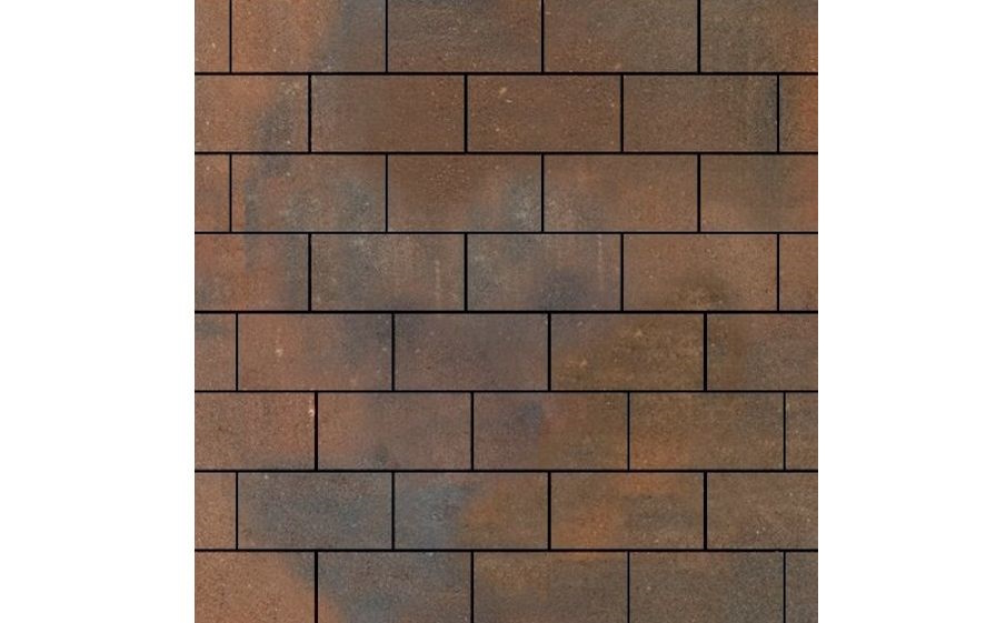 Плитка тротуарная SteinRus Прямоугольник А.6.П.4, гладкая, ColorMix Штайнрус, 200*100*40 мм
