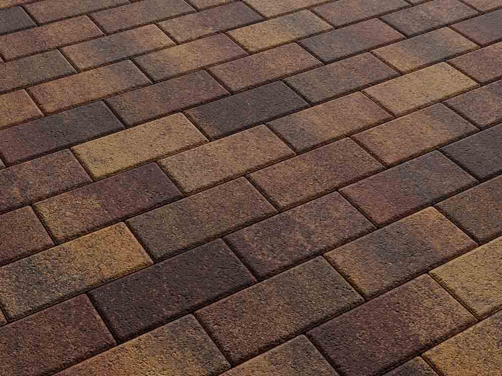 Плитка тротуарная Прямоугольник А.2.П.4 листопад гранит осень, 200*100*40 мм