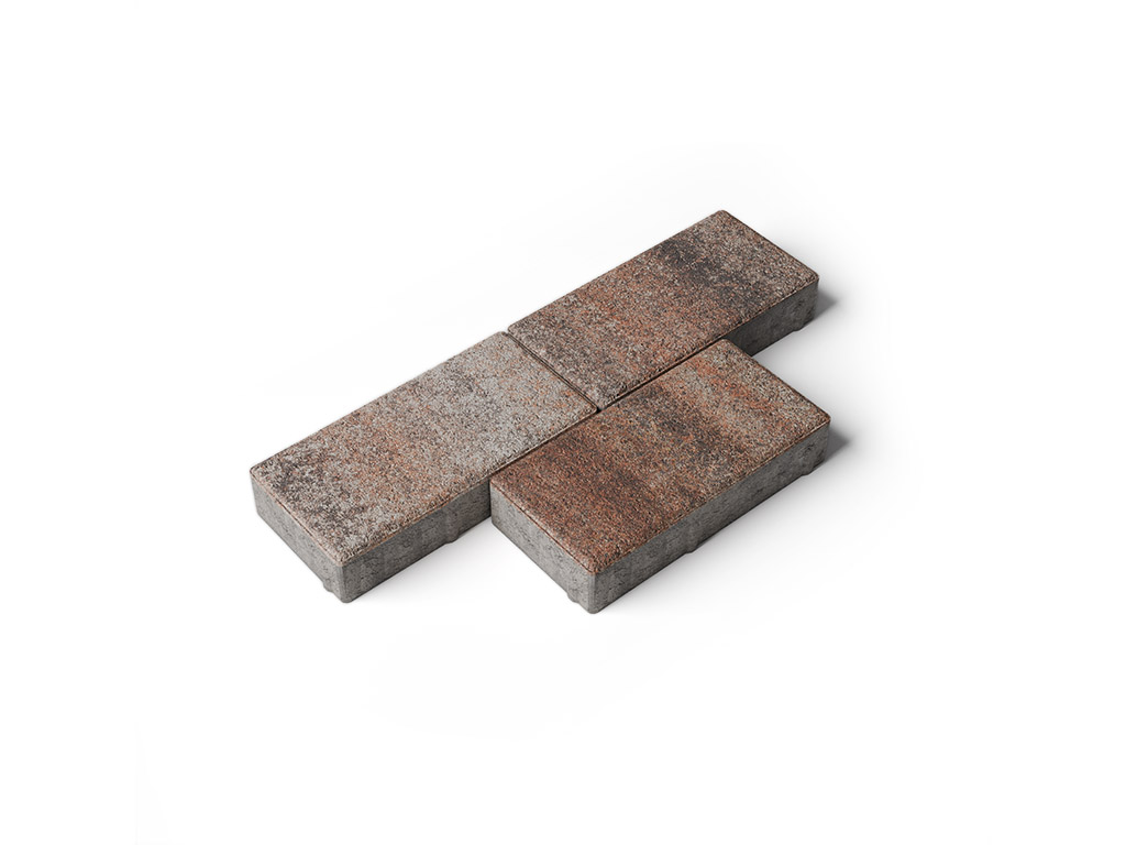 Плитка тротуарная Прямоугольник А.2.П.4 листопад гладкий клен, 200*100*40 мм 