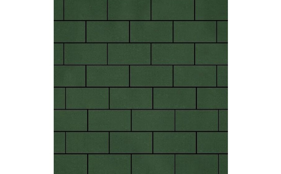 Плитка тротуарная SteinRus Прямоугольник В.6.П.8 гладкая, оливковый, 200*100*80 мм