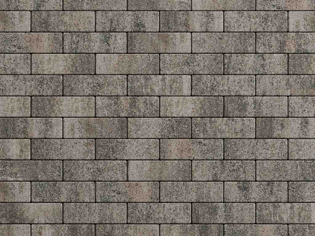 Плитка тротуарная Паркет Б.4.П.6 листопад гладкий старый замок, 180*60*60 мм