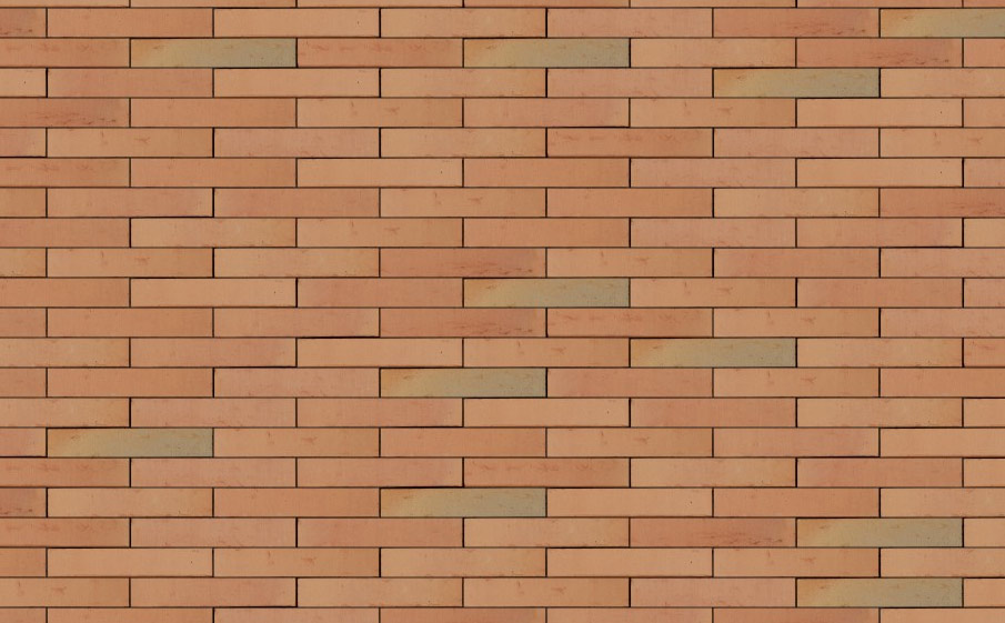 Кирпич облицовочный Terca Linnaeus Betula, 288*88*48 мм