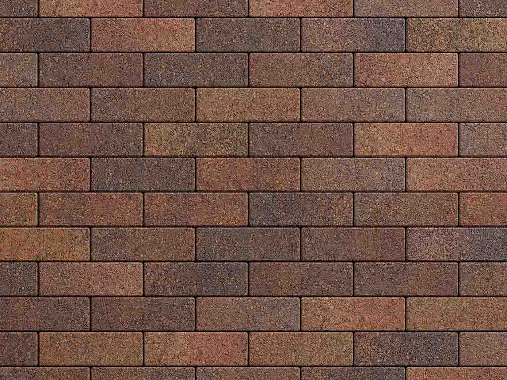 Плитка тротуарная Паркет Б.4.П.6 листопад гранит арабская ночь, 180*60*60 мм