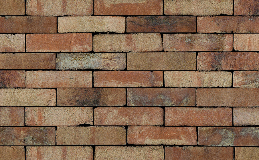 Кирпич S.Anselmo Superior Line Ecocolor, Selmo, 250*120*55 мм