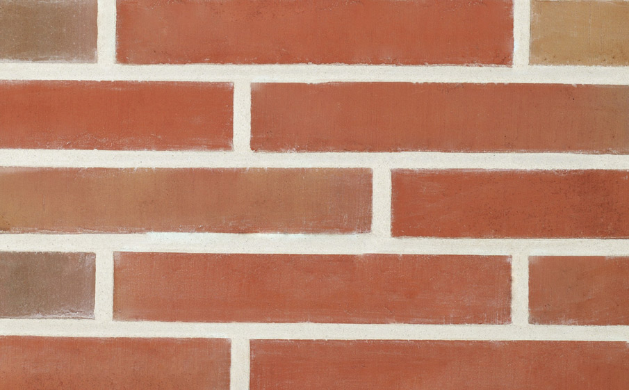 Кирпич облицовочный Terca Linnaeus Robinia, 288*88*48 мм