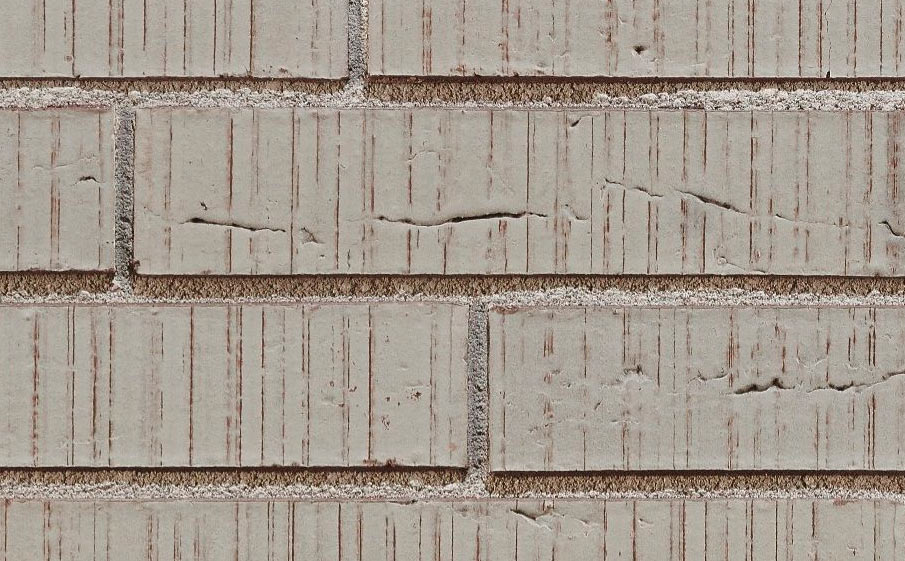 Кирпич облицовочный Terca Elignia Nebula, 288*90*48 мм