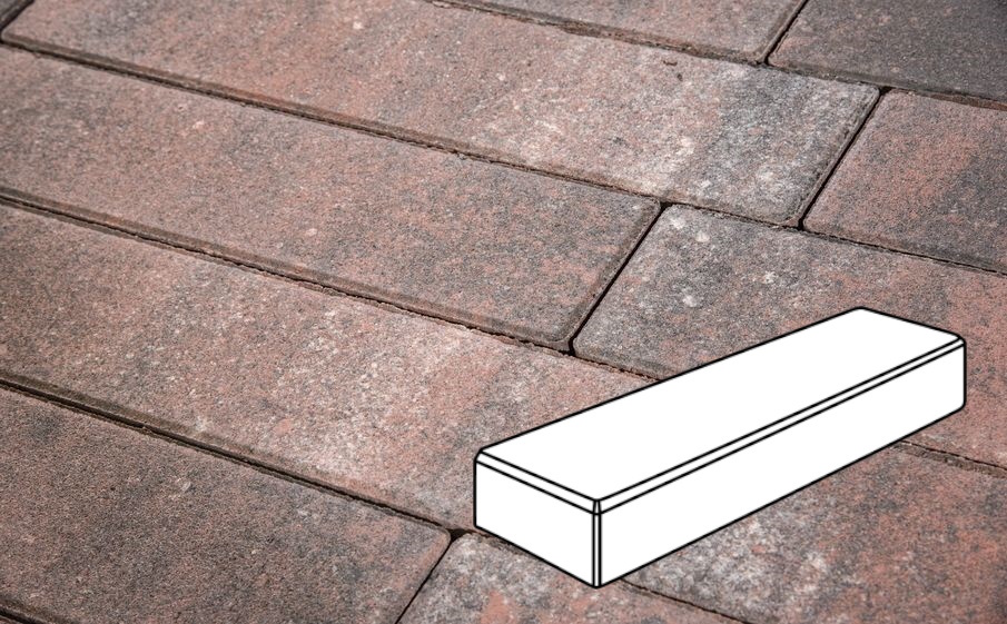 Плитка тротуарная Готика Natur, Паркет Б.3.П.6, Нептун, 300*100*60 мм