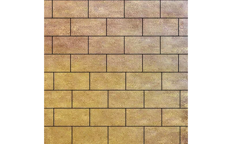Плитка тротуарная SteinRus Прямоугольник А.6.П.4, гладкая, ColorMix Брайс, 200*100*40 мм