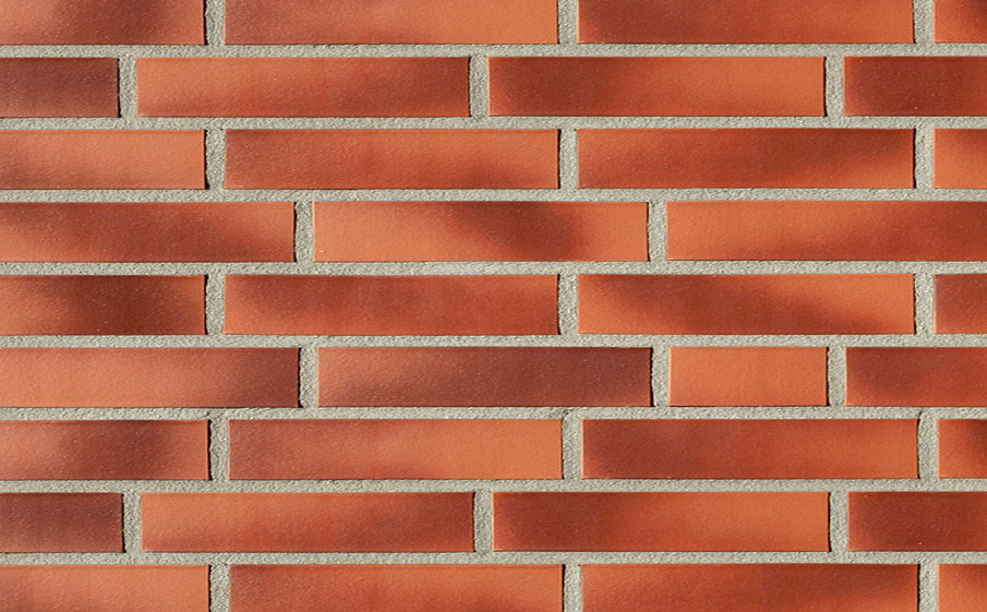 Клинкерная плитка Roben Darwin, 290*52*14 мм