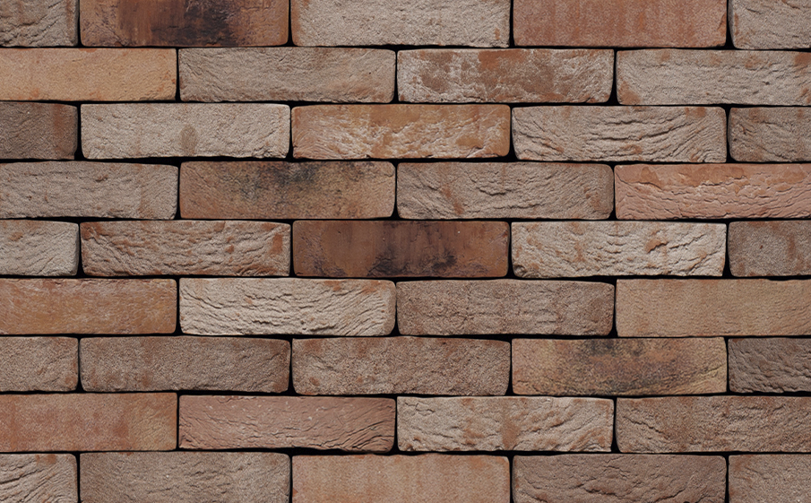 Кирпич S.Anselmo Custom blend BO, Selmo, 250*120*55 мм