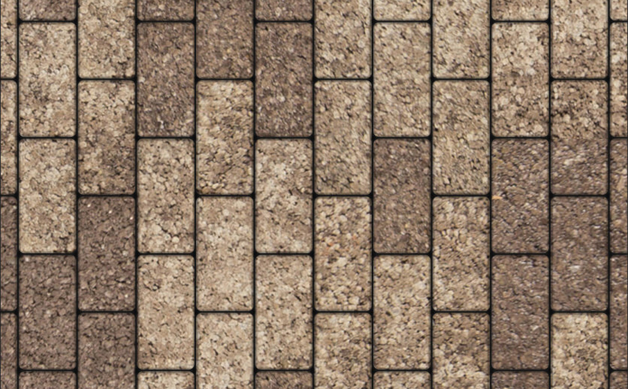 Плитка тротуарная Прямоугольник В.2.П.10 листопад гладкий хаски, 200*100*100 мм