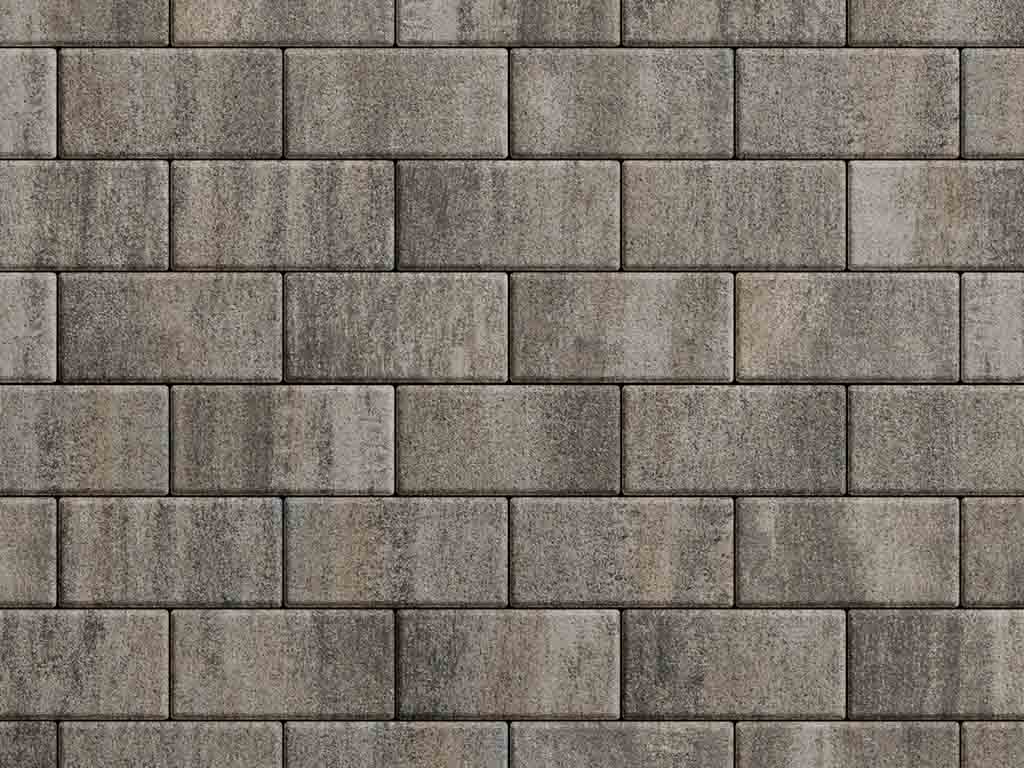 Плитка тротуарная Прямоугольник Б.2.П.6 листопад гладкий старый замок, 200*100*60 мм 