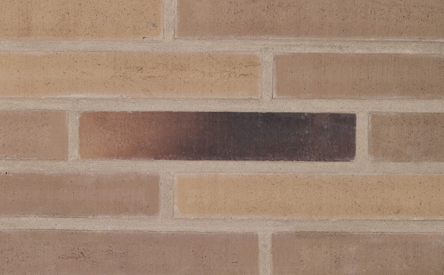 Кирпич облицовочный Terca Linnaeus Salix, 288*88*48 мм