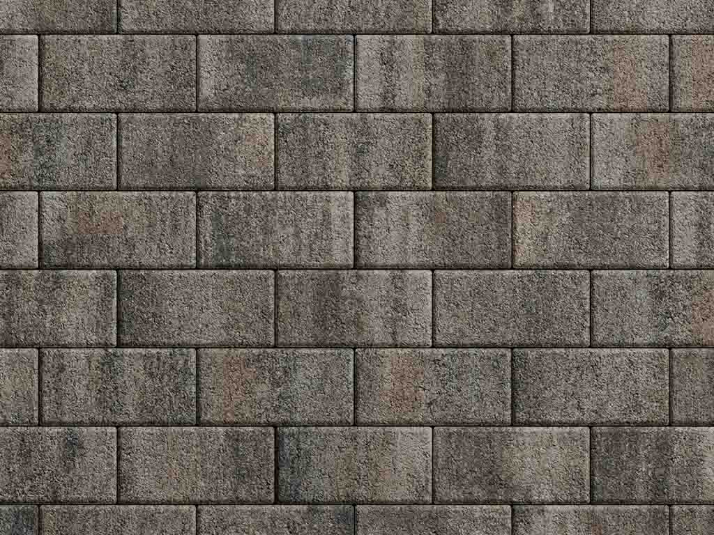 Плитка тротуарная Прямоугольник А.2.П.4 листопад гранит старый замок, 200*100*40 мм