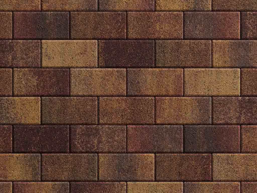 Плитка тротуарная Прямоугольник А.2.П.4 листопад гранит осень, 200*100*40 мм