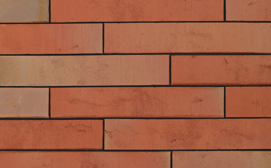 Кирпич облицовочный Terca Linnaeus Robinia, 288*88*48 мм