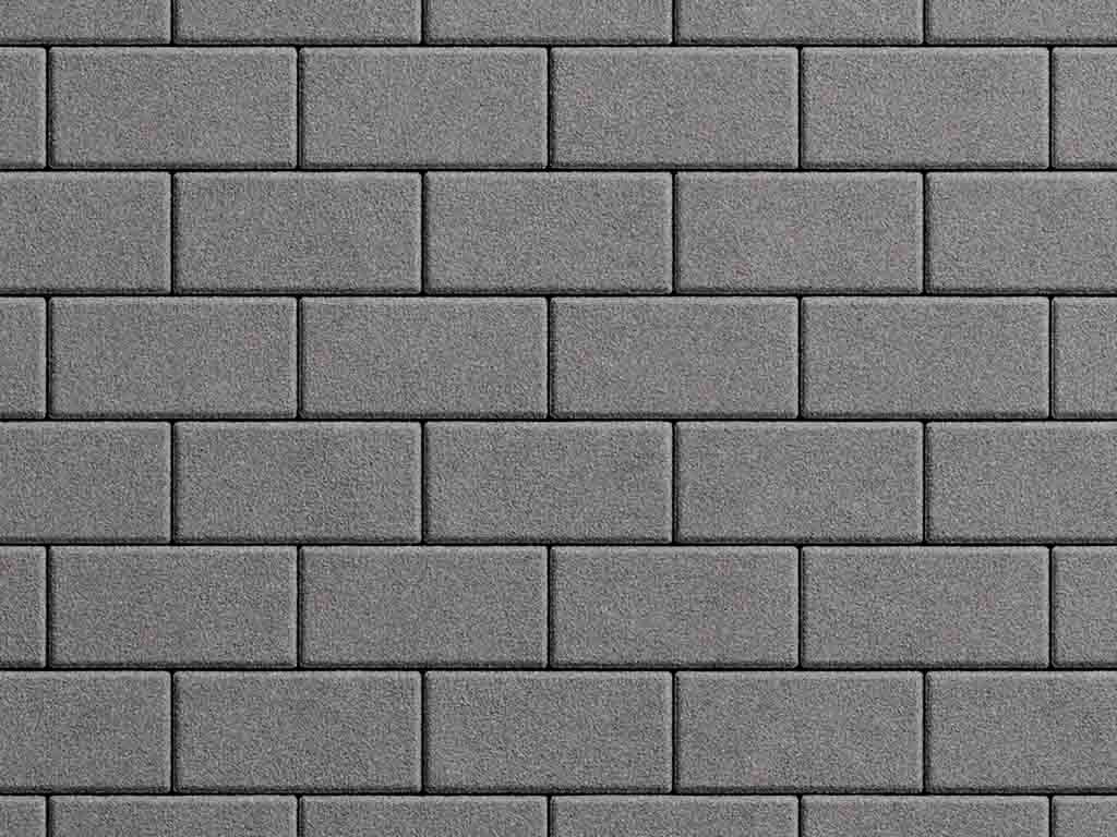 Плитка тротуарная Прямоугольник А.2.П.4 гранит серый, 200*100*40 мм