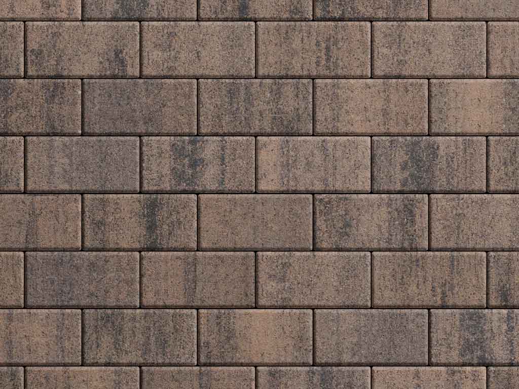 Плитка тротуарная Прямоугольник Б.2.П.6 листопад гладкий песок черный, 200*100*60 мм 