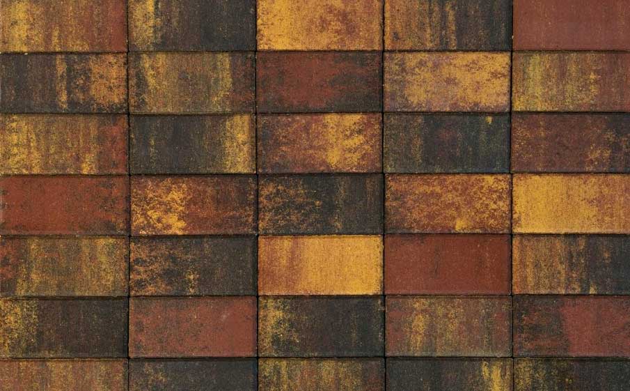 Плитка тротуарная BRAER Прямоугольник Color Mix Мальва, 200*100*60 мм