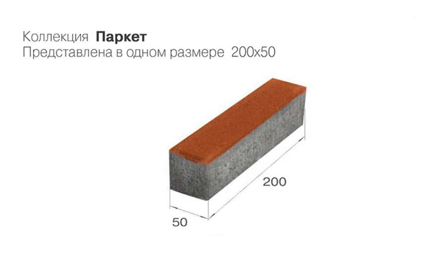 Плитка тротуарная BRAER Паркет Color Mix Прайд, 200*50*60 мм