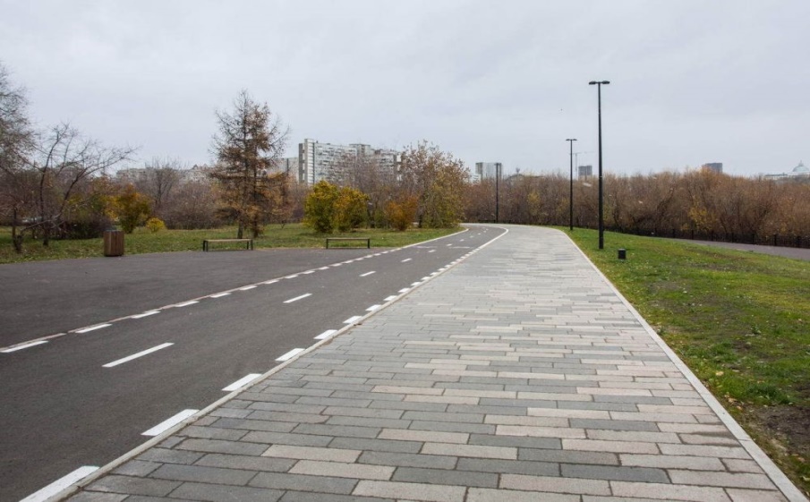 Плитка тротуарная Прямоугольник Б.6.П.8 листопад гладкий осень, 600*200*80 мм