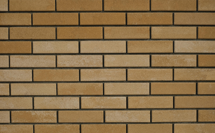 Кирпич облицовочный Выбор 1Л200.F100 Премиум Степняк, 250*120*65 мм