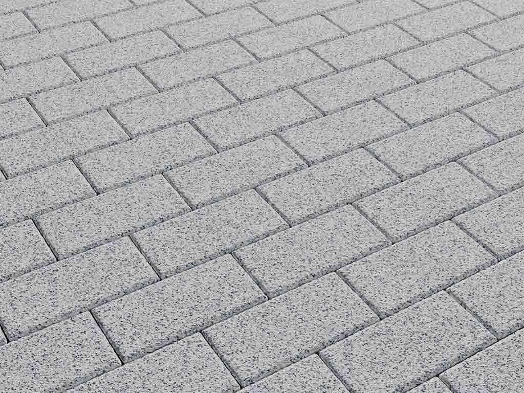 Плитка тротуарная Прямоугольник Б.2.П.6 стоунмикс белый с черным, 200*100*60 мм