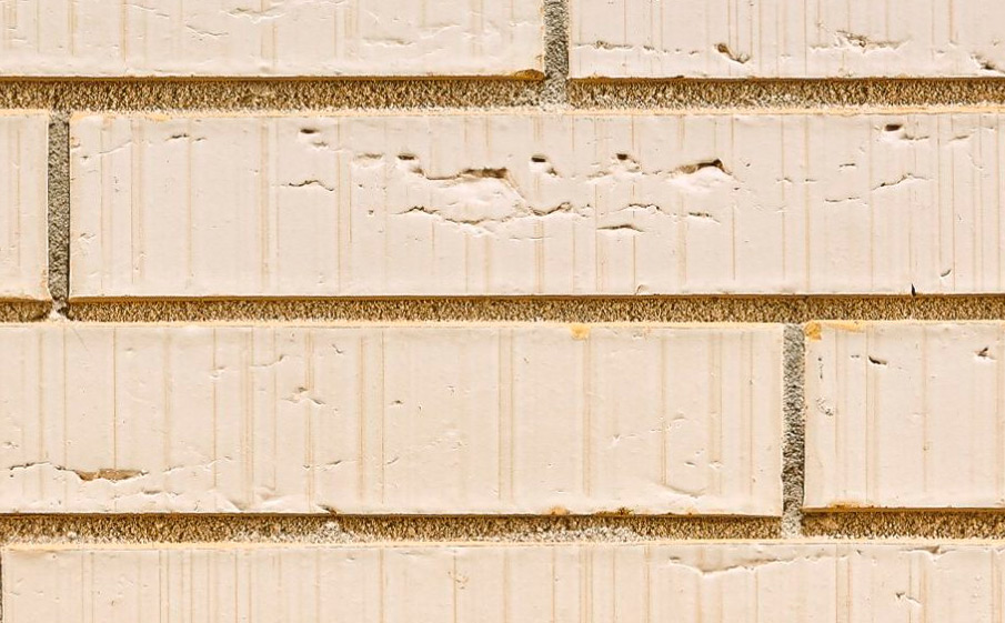 Кирпич облицовочный Terca Elignia Arctica, 288*90*48 мм