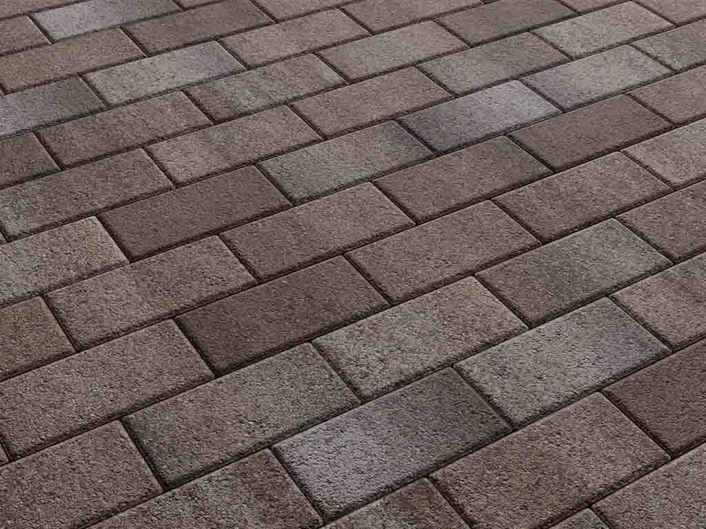 Плитка тротуарная Прямоугольник А.2.П.4 листопад гранит хаски, 200*100*40 мм