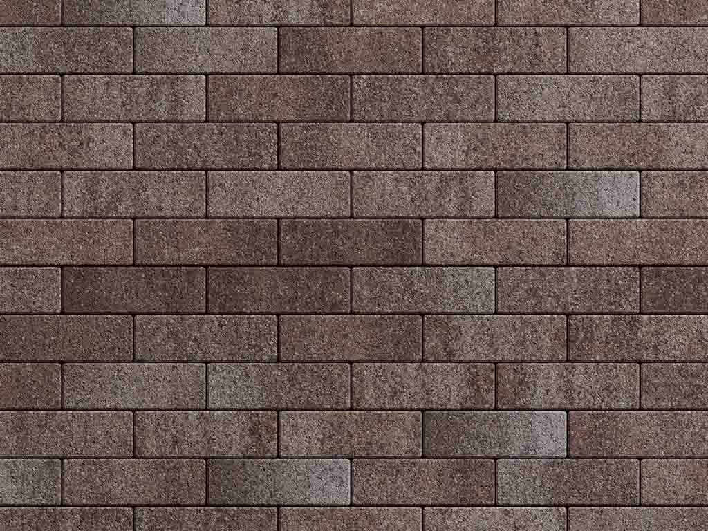 Плитка тротуарная Паркет Б.4.П.6 листопад гранит хаски, 180*60*60 мм