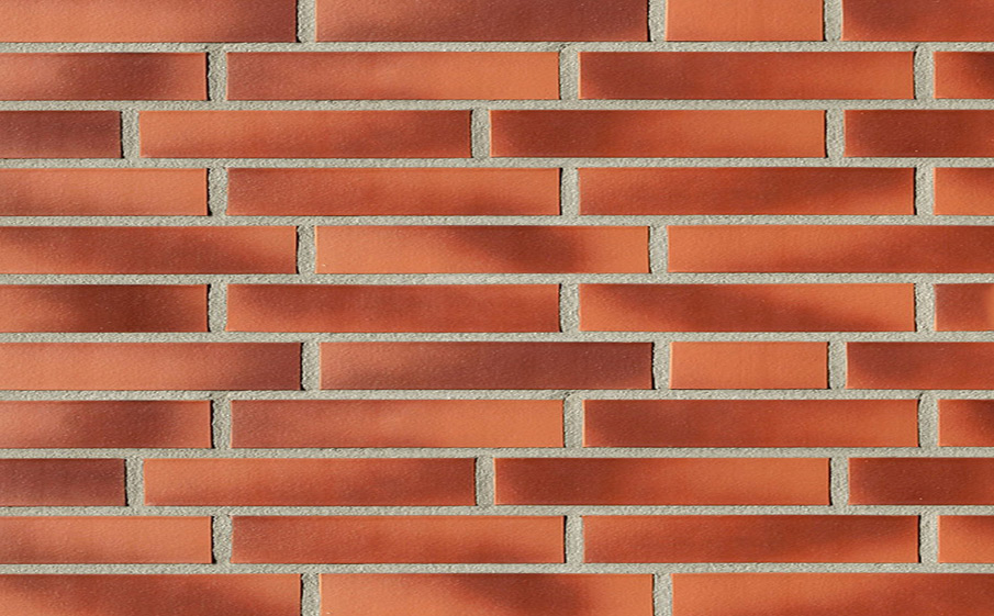 Клинкерная плитка Roben Darwin, 365*52*14 мм