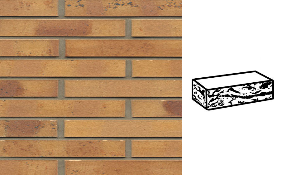 Кирпич клинкерный Muhr 06 K Hellbraun-bunt Kohle готик, 290*90*40 мм