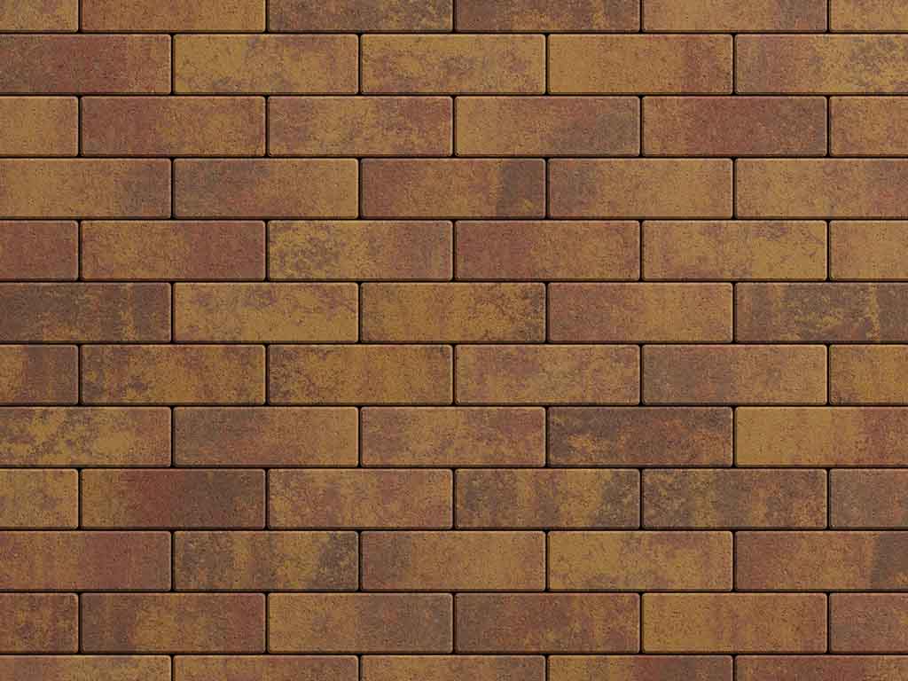 Плитка тротуарная Паркет Б.4.П.6 листопад гладкий осень, 180*60*60 мм