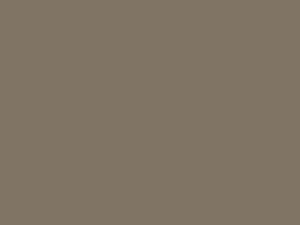 HPL-панель Lemark Кофе с молоком BR-Brush (необработанное дерево), 3050*1300*6 мм