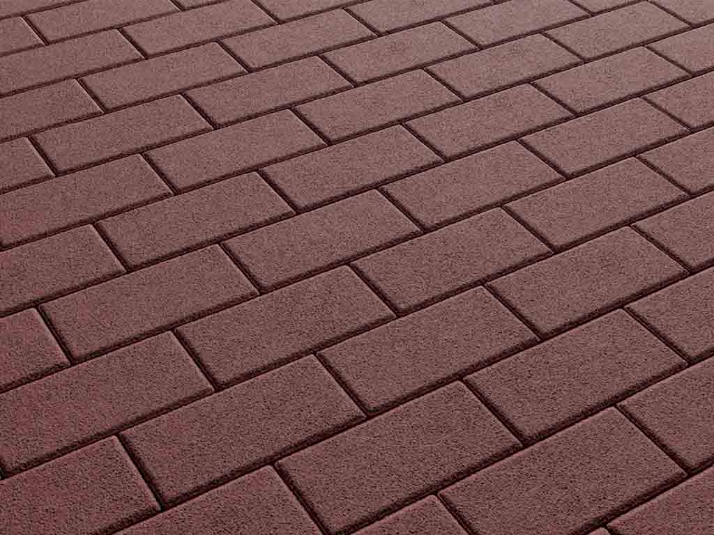 Плитка тротуарная Прямоугольник Б.2.П.6 гранит красный, 200*100*60 мм