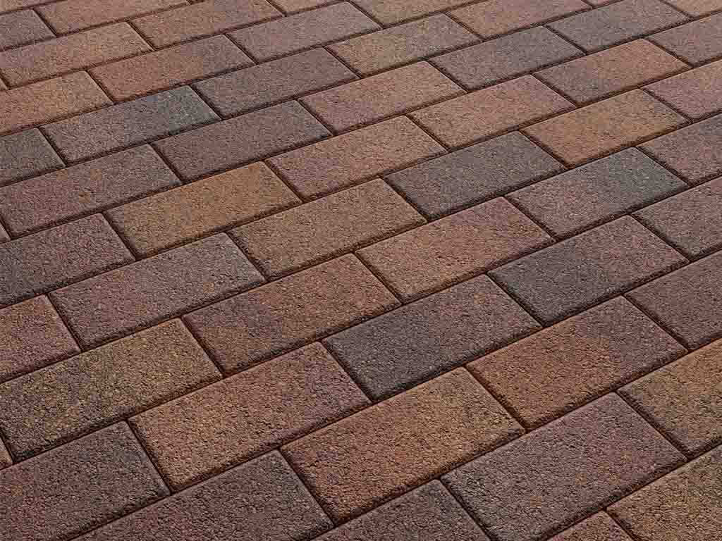 Плитка тротуарная Прямоугольник А.2.П.4 листопад гранит арабская ночь, 200*100*40 мм