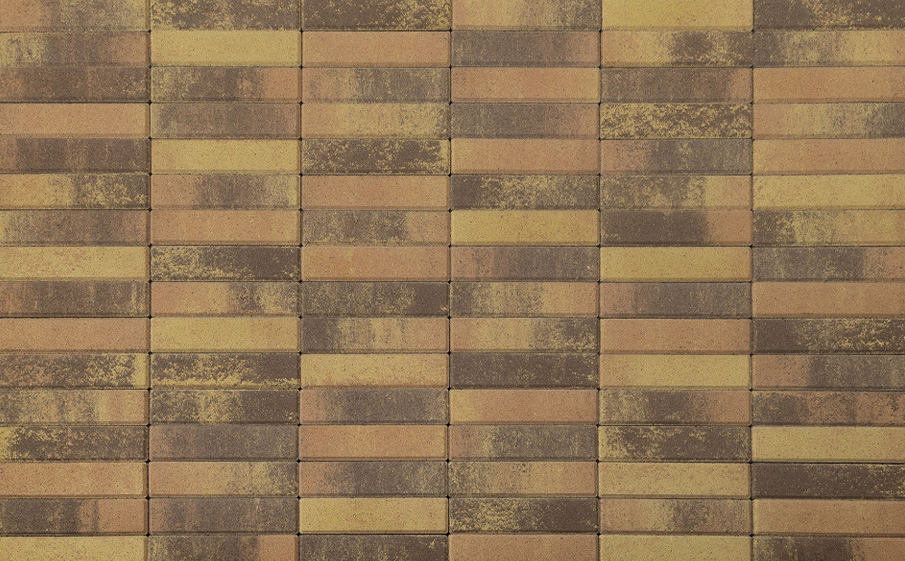 Плитка тротуарная BRAER Паркет Color Mix Прайд, 200*50*60 мм