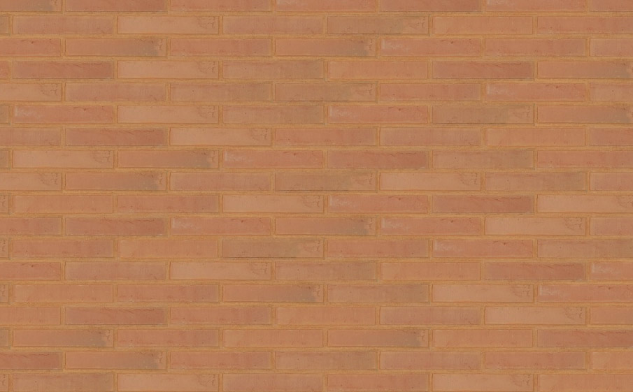 Кирпич облицовочный Terca Linnaeus Betula, 288*88*48 мм