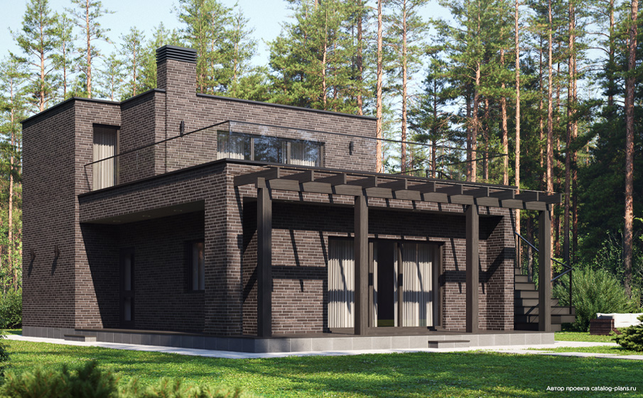 Кирпич клинкерный Plinfa Iron 2804, 270*85*50 мм