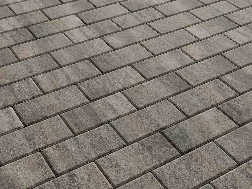 Плитка тротуарная Прямоугольник Б.2.П.6 листопад гладкий старый замок, 200*100*60 мм 