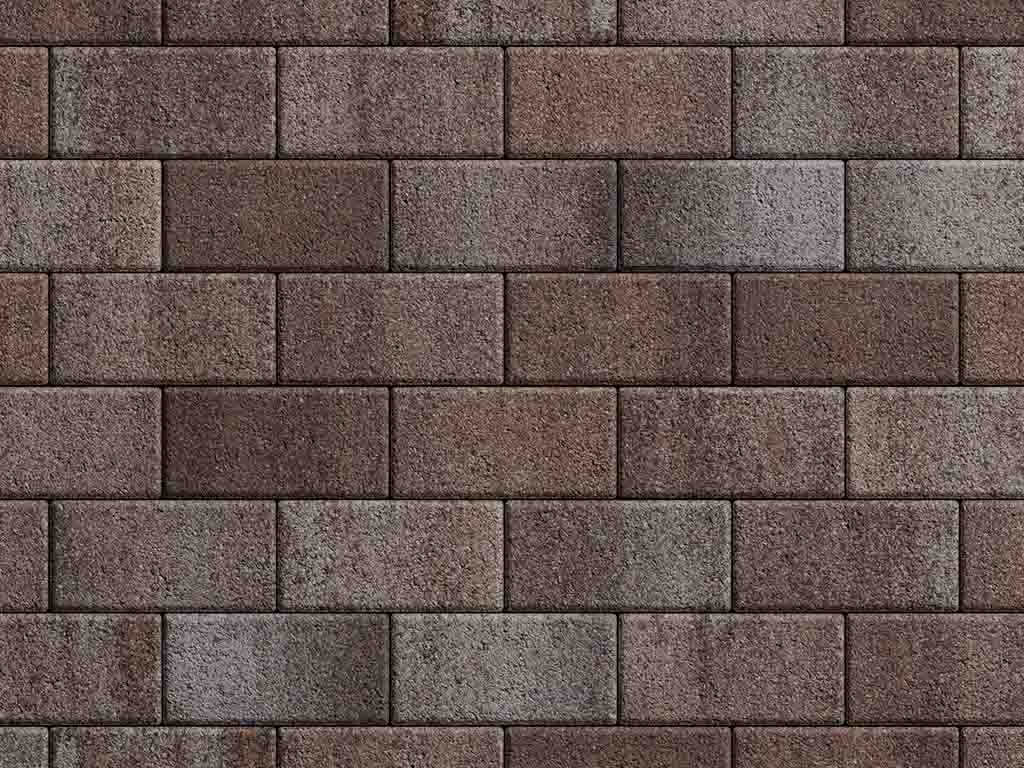 Плитка тротуарная Прямоугольник А.2.П.4 листопад гранит хаски, 200*100*40 мм