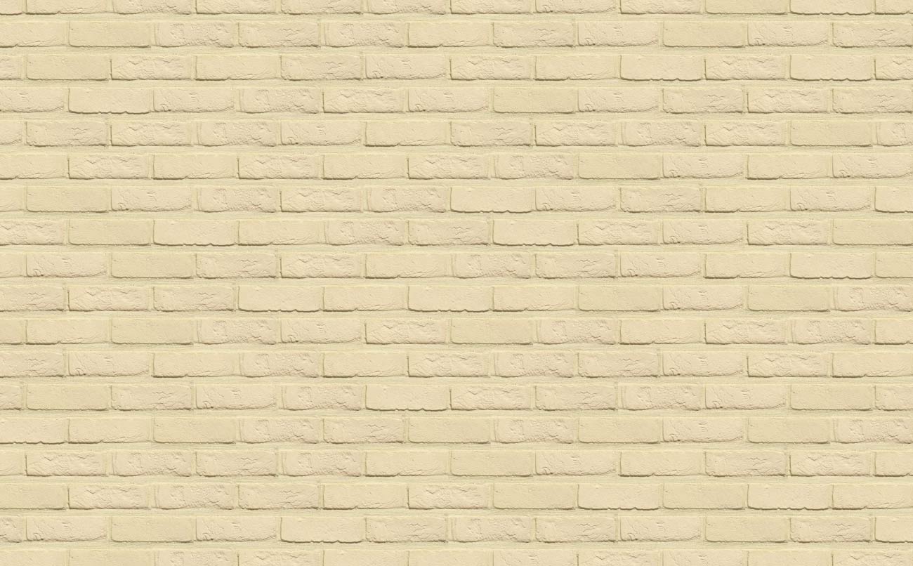 Кирпич облицовочный Terca Branco, 215*102*65 мм