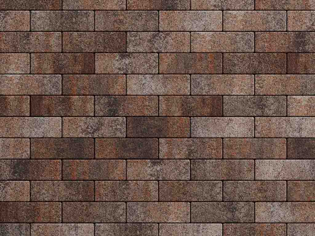 Плитка тротуарная Паркет Б.4.П.6 листопад гранит клен, 180*60*60 мм